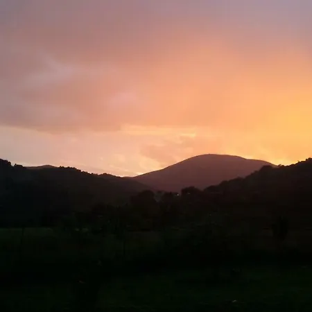 Bed & Breakfast Verde Vivo *