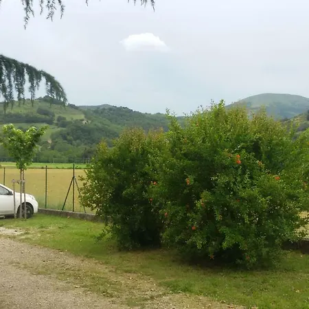 Verde Vivo