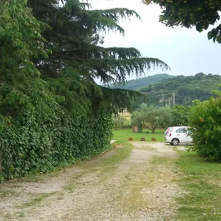 Verde Vivo